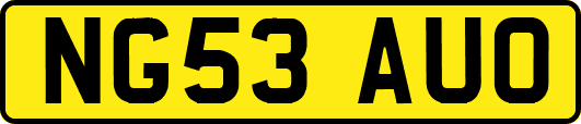 NG53AUO