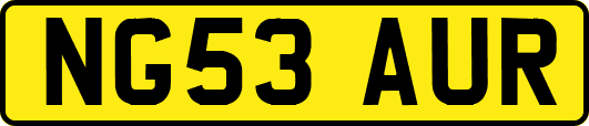 NG53AUR