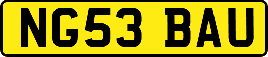 NG53BAU