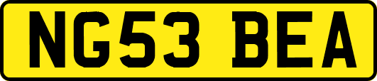 NG53BEA