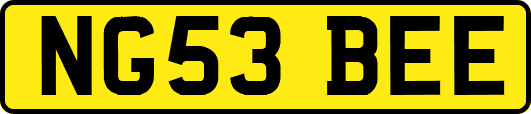 NG53BEE