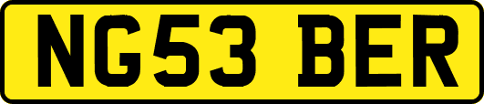 NG53BER
