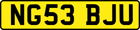 NG53BJU
