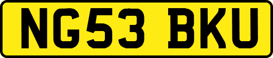 NG53BKU
