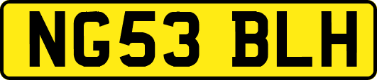 NG53BLH