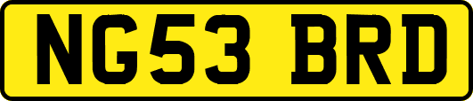 NG53BRD