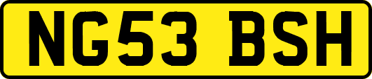 NG53BSH