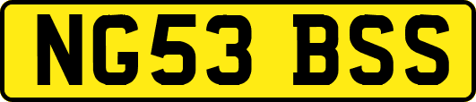 NG53BSS