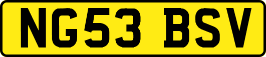 NG53BSV