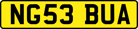 NG53BUA