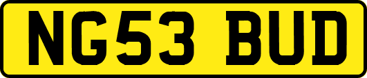 NG53BUD