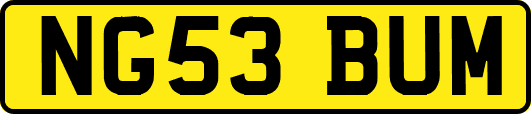NG53BUM