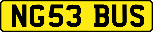 NG53BUS