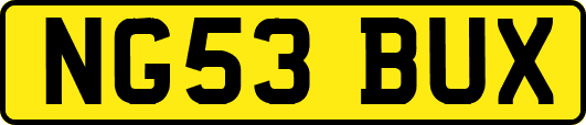 NG53BUX