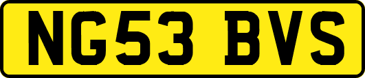 NG53BVS