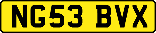 NG53BVX