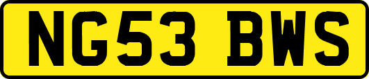 NG53BWS