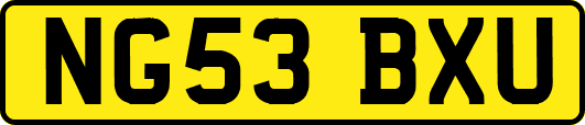 NG53BXU