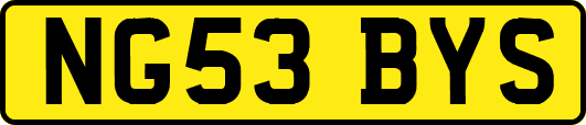NG53BYS