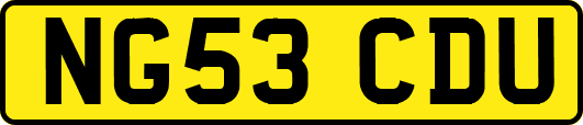 NG53CDU
