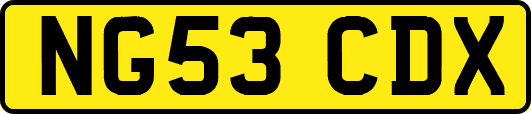 NG53CDX