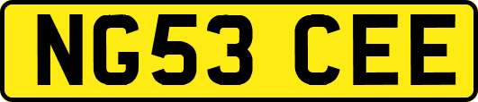 NG53CEE