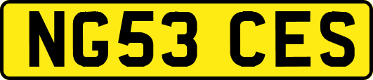 NG53CES