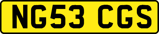NG53CGS