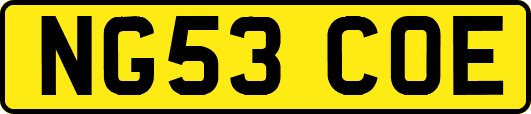 NG53COE