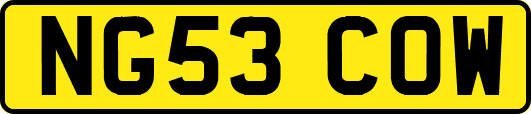 NG53COW