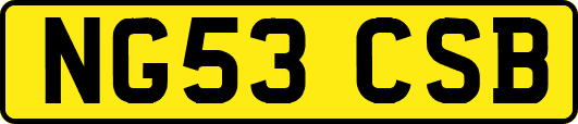 NG53CSB