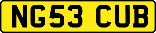 NG53CUB