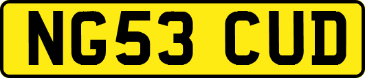 NG53CUD