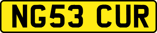 NG53CUR