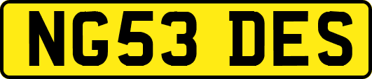 NG53DES