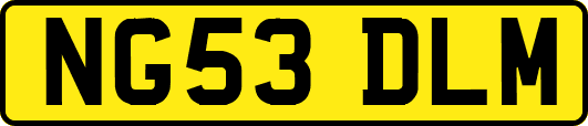 NG53DLM