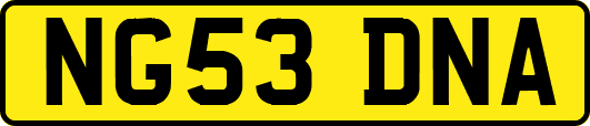 NG53DNA