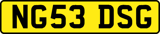 NG53DSG