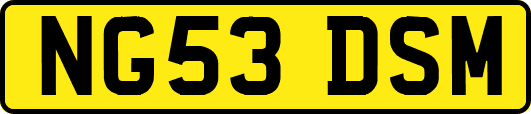 NG53DSM