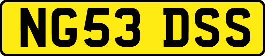 NG53DSS