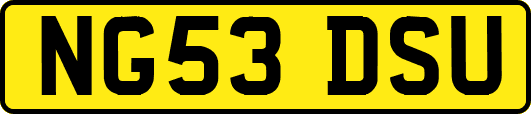 NG53DSU