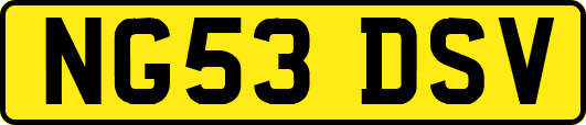 NG53DSV