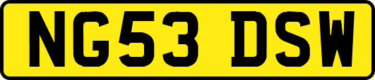 NG53DSW