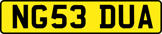 NG53DUA