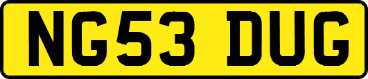 NG53DUG