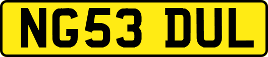 NG53DUL