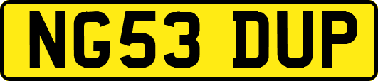 NG53DUP