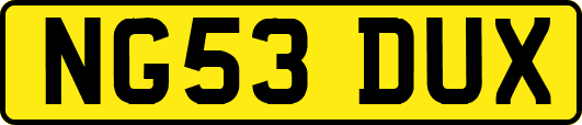 NG53DUX
