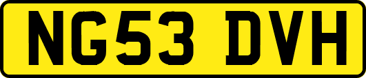 NG53DVH