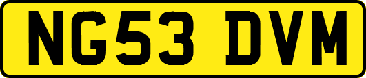 NG53DVM
